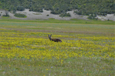 Quito : excursion à vélo au volcan Cotopaxi avec déjeunerVisite de groupe