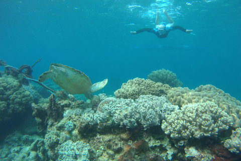 São Vicente: Enseada de Coral Snorkeling Wycieczka z przewodnikiemSão Vicente: Enseada de Coral Snorkeling Wycieczka z przewodnikiem -4+