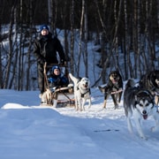 4-stündige Hundeschlittenfahrt im Gargia-Tal