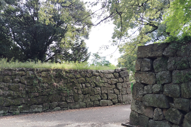 Wakayama: Tokugawa Castle That Guarded the Southern Coast From JR Wakayama Station