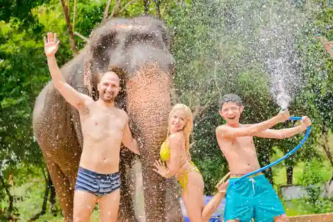 Phuket: Feed and Rain Shower at Elephant Camp with Seaview