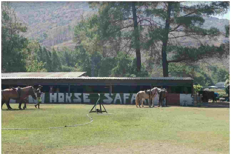 Marmaris: Horseback Riding Safari with Hotel Transfer Private Icmeler Horse Safari