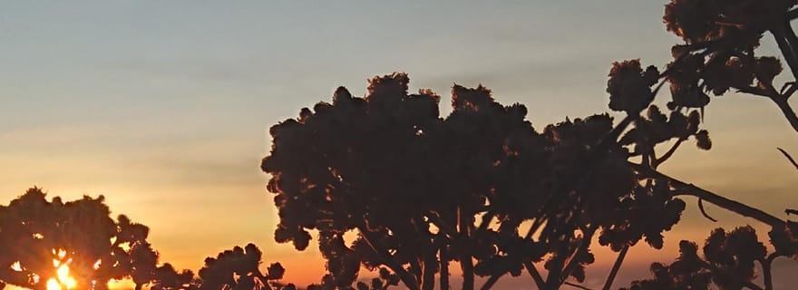 Randonnée sur le mont Sangkareang (bord du cratère de Tetebatu) 2J1N