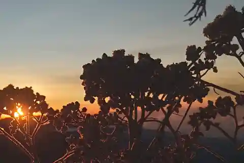 Trekking mount sangkareang (second summit of Rinjani 2D1N