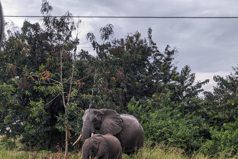 Uganda: Murchison Falls nationalpark