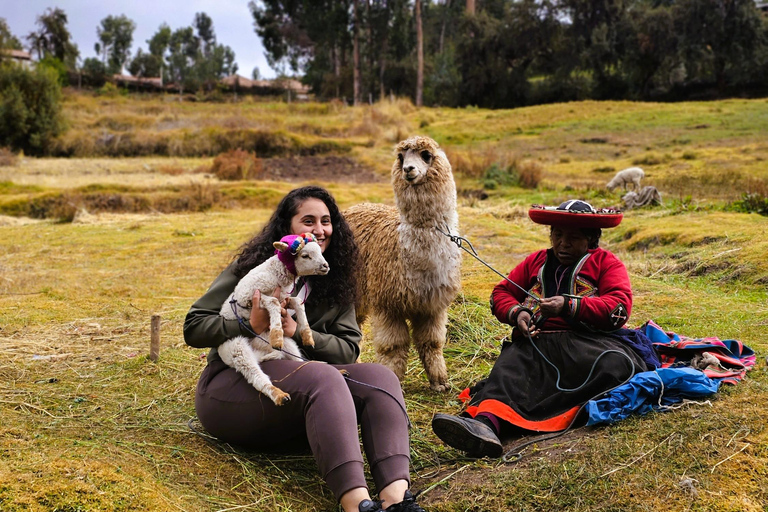 Cusco City Tour: Cathedral, Qoricancha & Sacsayhuamán