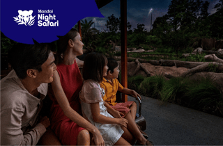 Singapur: Eintrittskarte für die Night Safari mit Straßenbahnfahrt