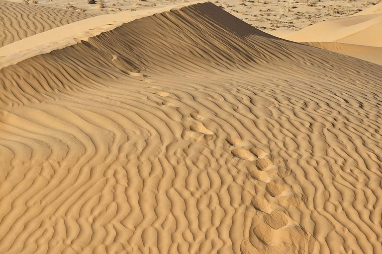 Salalah: Empty Quarter Desert Adventure to Hashman Dunes