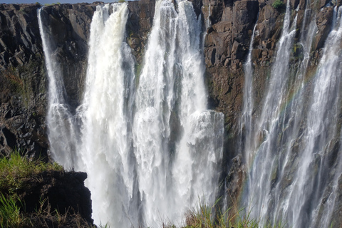 Livingstone: Victoria Falls, Rhino Encounter, & Chobe Safari