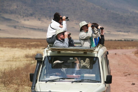 Tour di mezza giornata di birdwatching nel Parco Nazionale di Nairobi