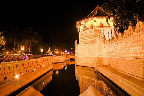 Kandy Esala Perahera Tour with Hotel Pickup From Colombo