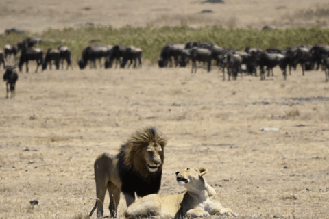 Tanzania: 13-Day Safari & Zanzibar Beach Holiday