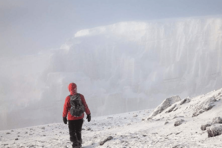 莫希：乞力马扎罗山马兰古路线 2 日徒步