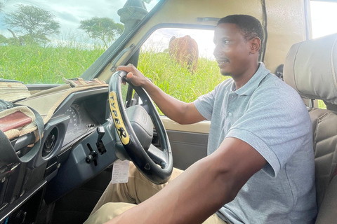 Tanzania Group Safaris Through Tanzania’s Top National Parks Arusha : 3 Days Serengeti and ngorongoro ngroup Safari