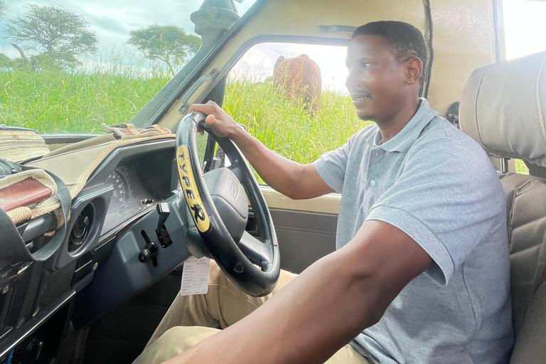 Tanzania Group Safaris Through Tanzania’s Top National Parks Arusha : 3 Days Serengeti and ngorongoro ngroup Safari