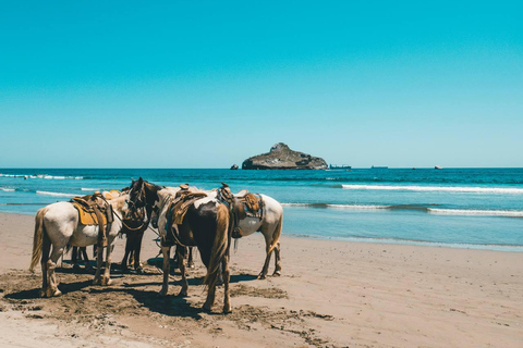 Punta del Este: Vive un inolvidable paseo a caballo por la playa