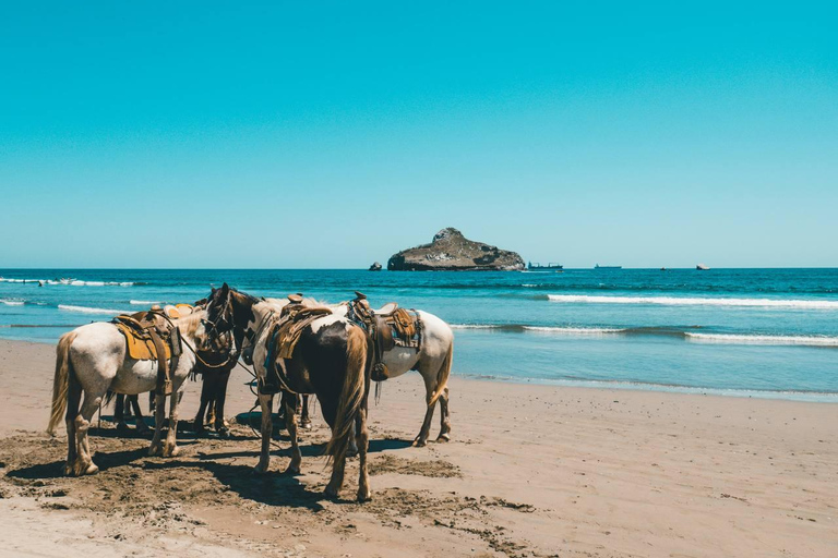 Punta del Este: Erlebe einen unvergesslichen Ausritt am Strand