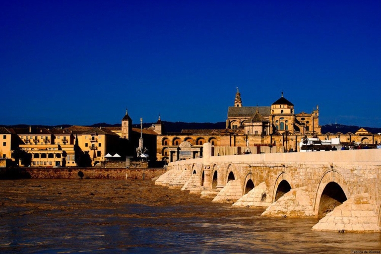 Vanuit Sevilla: dagtour erfgoed Córdoba