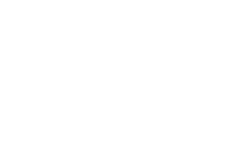 Harry Potter Shop Chicago: Confectionary Collection