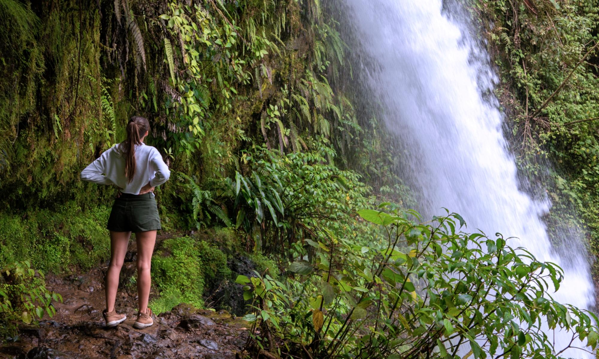 Von Arenal aus: La Paz Wasserfall Gärten Ganztägig