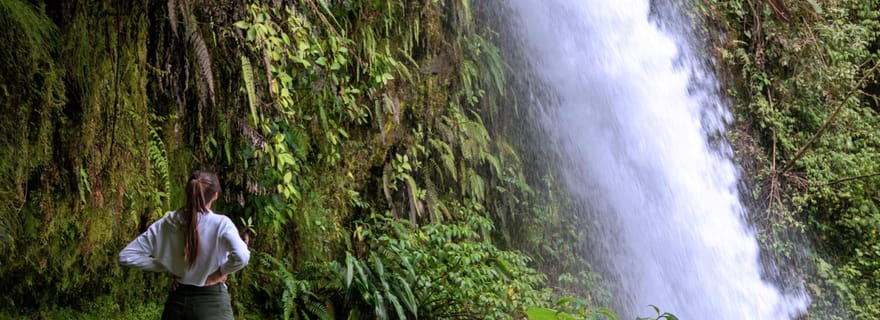 Billets d'entrée à la journée pour les jardins de la cascade de La Paz