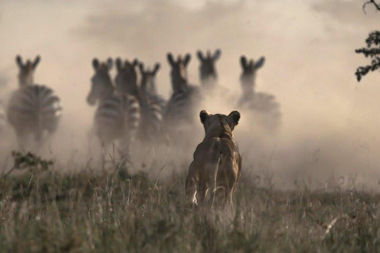 Nairobi: National Park Night Game Drive