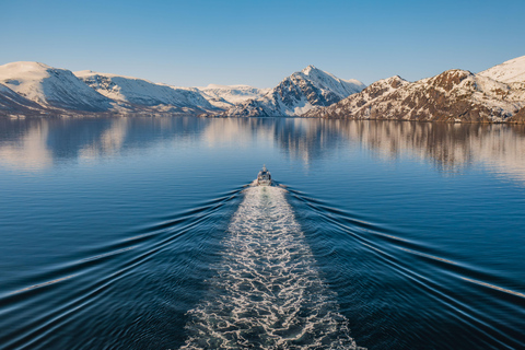 Alta: Altafjord Whale Watching in a Heated Boat