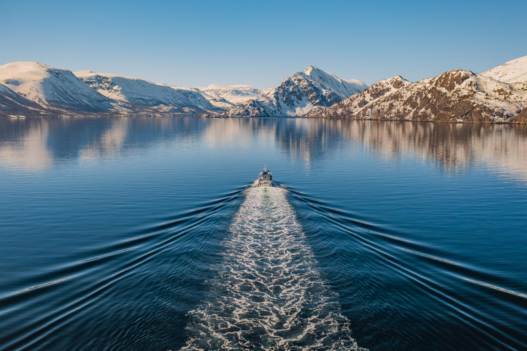 Alta: Altafjord Whale Watching in a Heated Boat