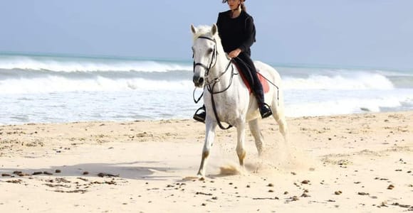 Hammamet: Horse riding along the beach