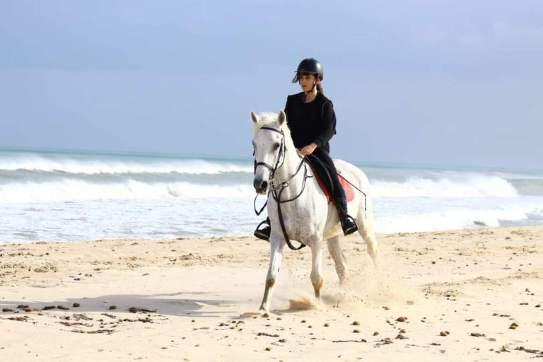 Hammamet : Paardrijden op het strand