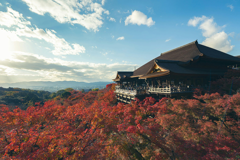 1 Tag Osaka-Kyoto-Nara: Entdecke die prächtige japanische Kultur