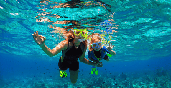 Sharm El Sheikh Combo Safari & Ras Mohammed Adventure
