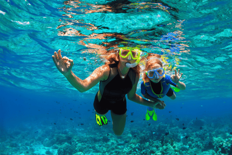 Sharm El Sheikh Combo Safari & Ras Mohammed Adventure