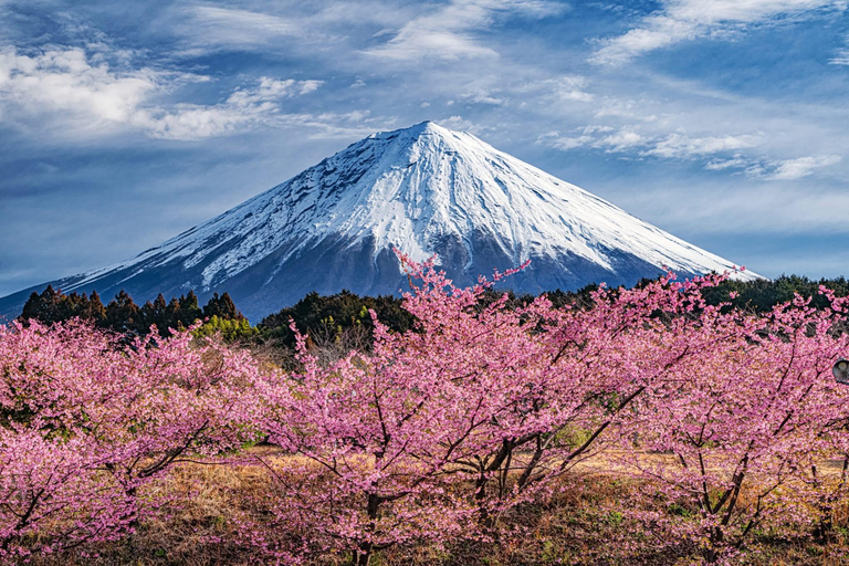 Tokyo: Private Daytrip to Mount Fuji - Fully Customizable Mt Fuji Private Luxury Van Tour (Customizable Experience)