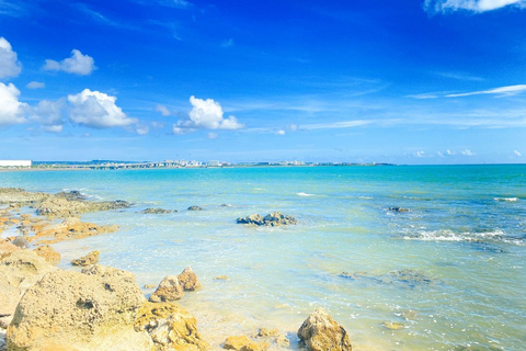 那霸：冲绳南部，风光旖旎，采摘乐趣，烧烤午餐那霸：冲绳南部，观景，采摘水果，烧烤午餐