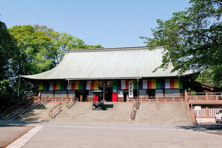 Tokyo: Kawagoe and Kasukabe Private Day Trip