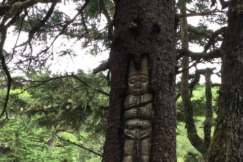 Juneau: Taste of Alaska Tour