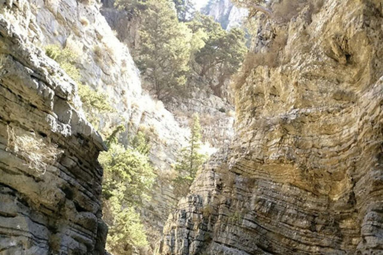 Imbros Gorge Hike: Chania Pickup & Return Transfer Included