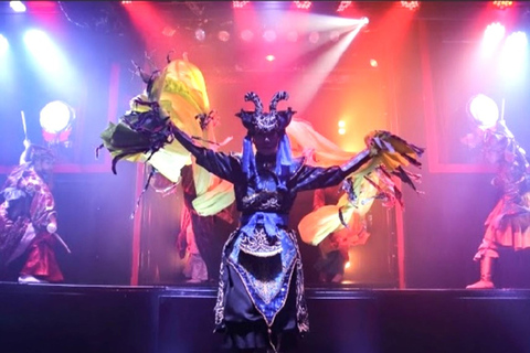 Tokio: ¡Disfruta de un espectáculo de cabaret al estilo japonés en Ginza!