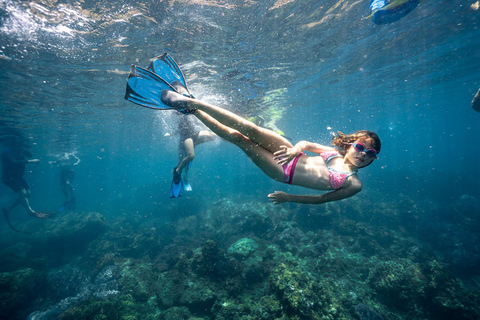 Excursão de mergulho ou snorkeling na Ilha Cham a partir de Da Nang/Hoi AnTour particular e opção de mergulho
