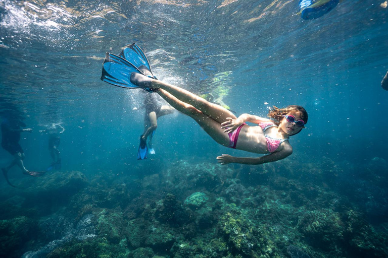Excursão de mergulho ou snorkeling na Ilha Cham a partir de Da Nang/Hoi AnTour particular e opção de mergulho