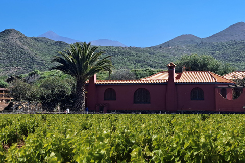 Tenerife: Esperienza Gastro Wine South