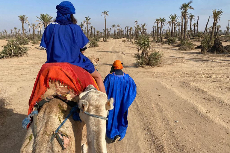 Promenade à dos de chameau dans la palmeraie de Marrakech