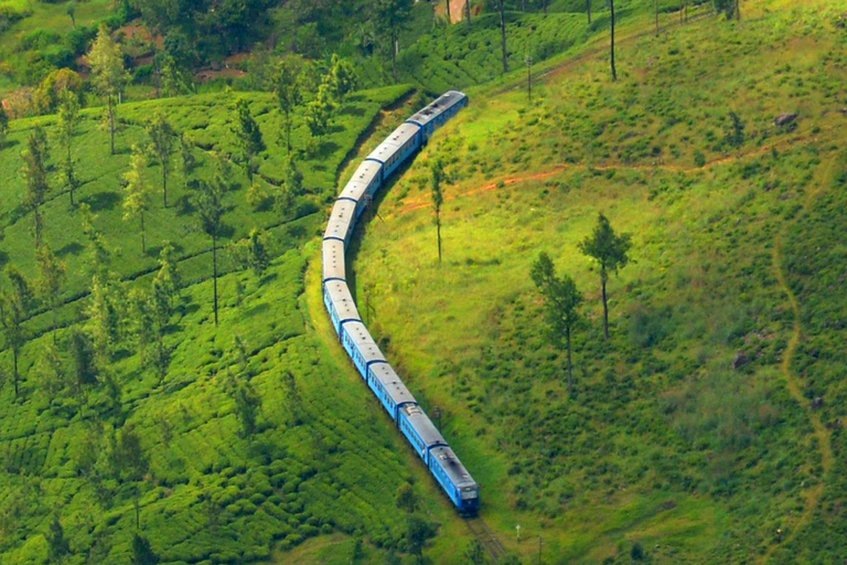 Colombo: 4-day Sri Lanka Full Circle Tour with East Coast Sri Lanka Full Circle 4-day Tour with East Coast