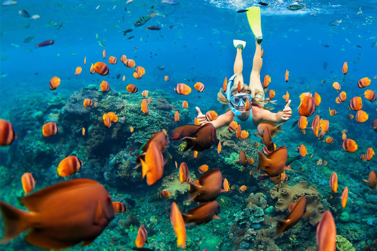 Sharm: Blue Hole Magic & Dahab Vibes w/Snorkeling & Lunch