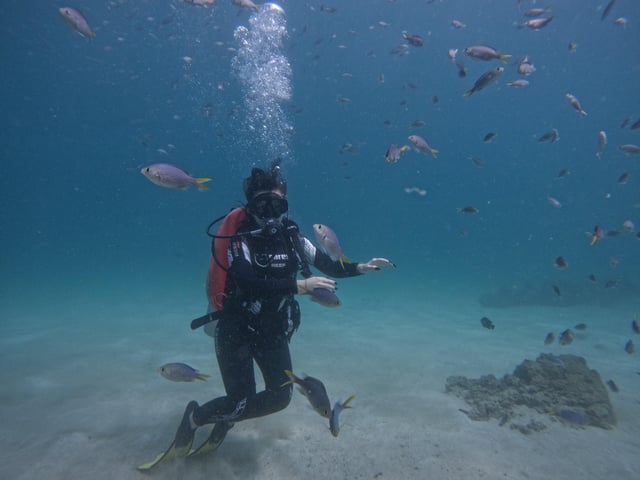 From Dubai: Try Scuba Diving, Snorkeling with BBQ &amp; Transfer