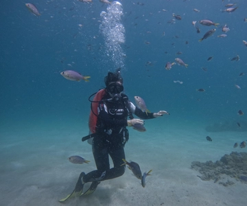 From Dubai: Try Scuba Diving, Snorkeling with BBQ & Transfer