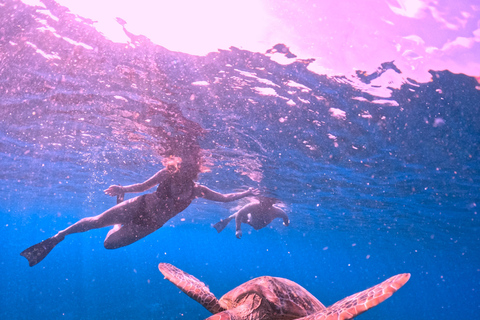 Gili Islands: Small-Group Snorkeling Tour with Photos