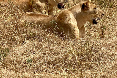 Mombasa/Diani: 2-Day Tsavo East Safari with Meals Private day tour to Tsavo East National Park - VAN