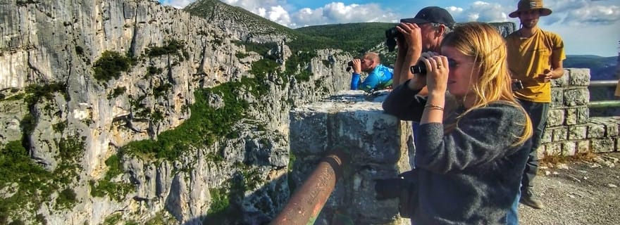 Gorges du Verdon : Observation des Vautours
